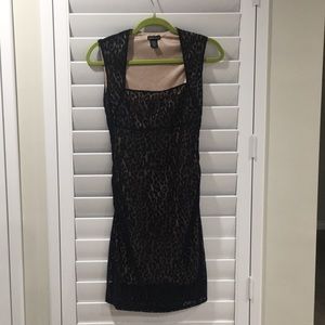 Short leopard black lace dress